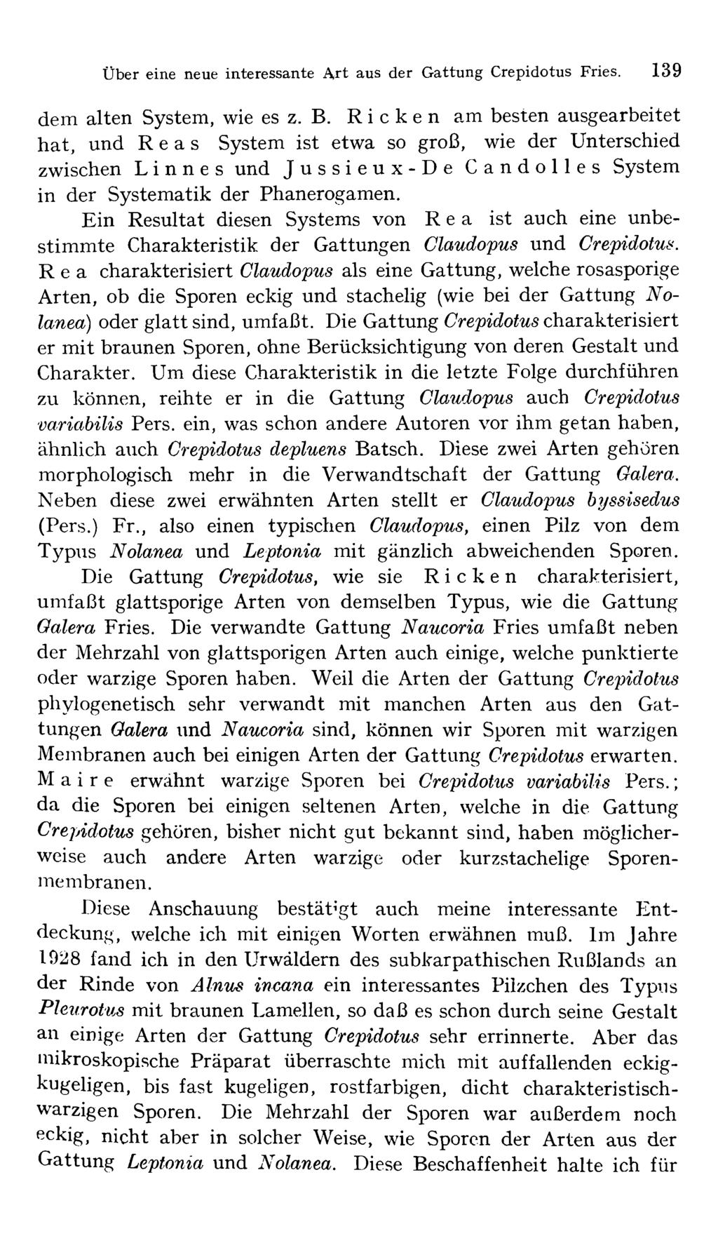 Über eine neue interessante Art aus der Gattung Crepidotus Fries. 139 dem alten System, wie es z. B.