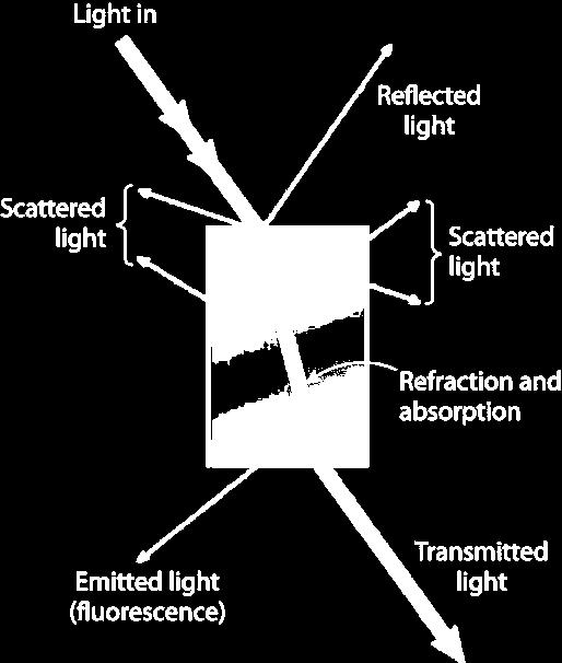 Farbe Die Farbe eines Minerals entsteht durch die teilweise Absorbtion des weißen Lichts.