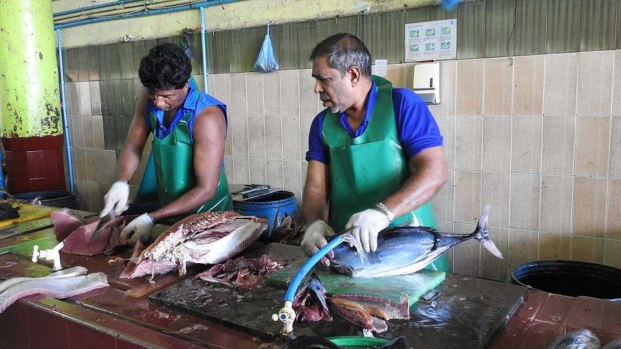 Malediven, Malé: der Fischmarkt.