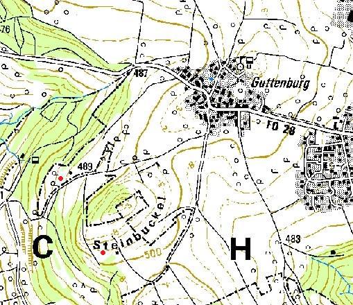 GG2 GG1 Abb.9: Lage der Untersuchungsflächen bei Guttenburg (Maßstab 1:17.