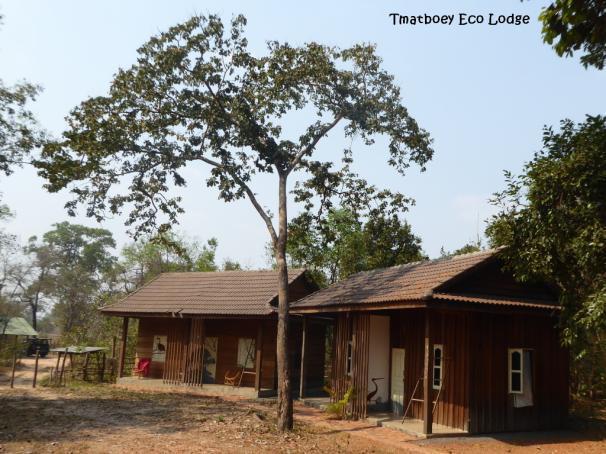 Weiterfahrt zur Eco Lodge Tmatboey über asphaltierte Straßen mit geringem Verkehrsaufkommen.