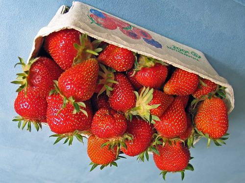 Schwerpunktaktion 2010 Brutto für Netto beim Erdbeerverkauf Durchgeführt vom