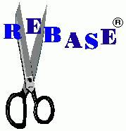 REBASE a database for DNA restriction and