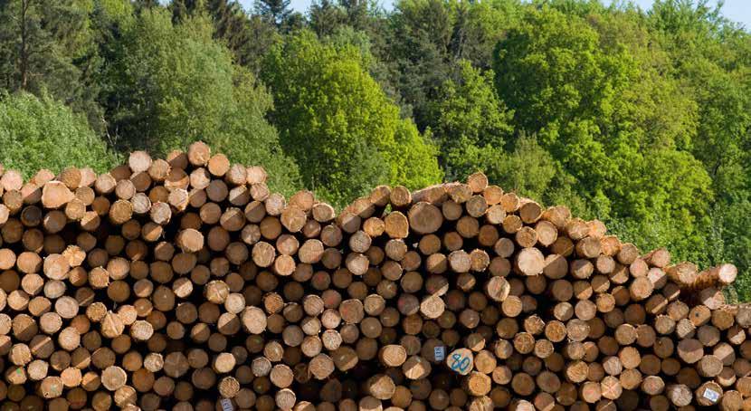 Beste Produkte für hohe Anforderungen Rettenmeier ist Ihr professioneller Ansprechpartner für sprodukte in den Bereichen Fachhandel, Holzbau und Dachdeckerei.