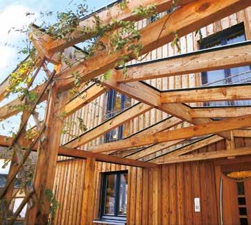 natürliche Resistenz gegen Pilz- und Insektenbefall dekorativer Holzbau Außenkonstruktionen sichtbare Dach- und Deckenkonstruktionen Konstruktionsvollholz Douglasie KVH -1plus SELECT Select 60x100