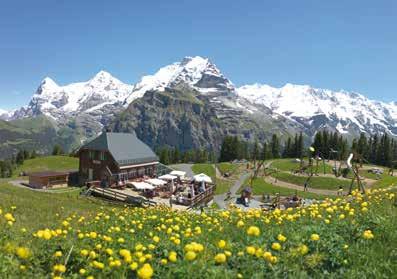 Auf dem neu angelegten Erlebnisweg gibt es über 150 verschiedene Bergblumenarten wie Enziane, Alpenrosen und Edelweiss zu entdecken. The flowery tour for young and old!
