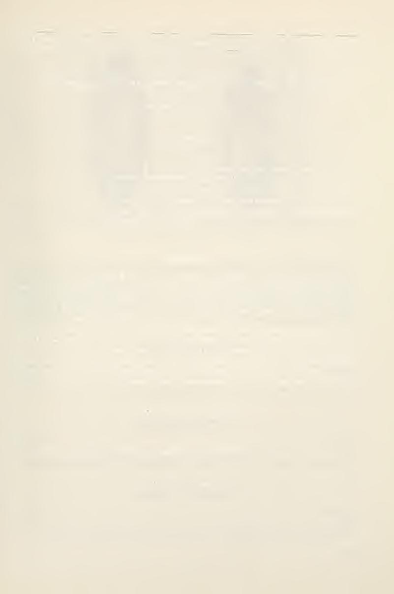 SPIXIANA 14 3 275-279 München, 3 1. Oktober 1991 ISSN 0341-8391 Beitrag zur Schwarzkäferfauna Tadschikistans (UdSSR) (Coleoptera, Tenebrionidae) Von Michael Carl Carl, M.
