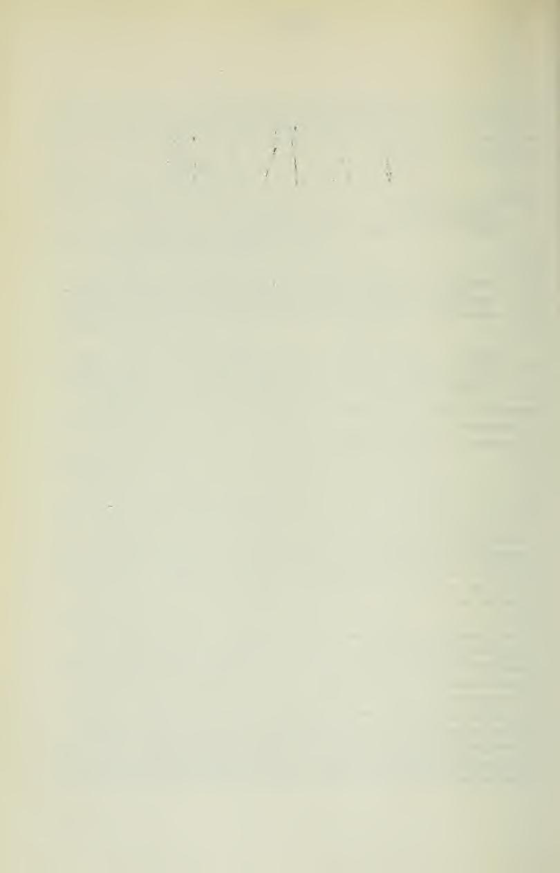 - 554 - Abb. 4: Astragalus kullmannii Podlech. a) Kelch, b) Fahne, c) Flügel, d) Schiffchen, e) Fruchtknoten (PODLECH 11732). Nat. Größe Ovarium lineare, pilis albis ungue lamina subduplo longiore.