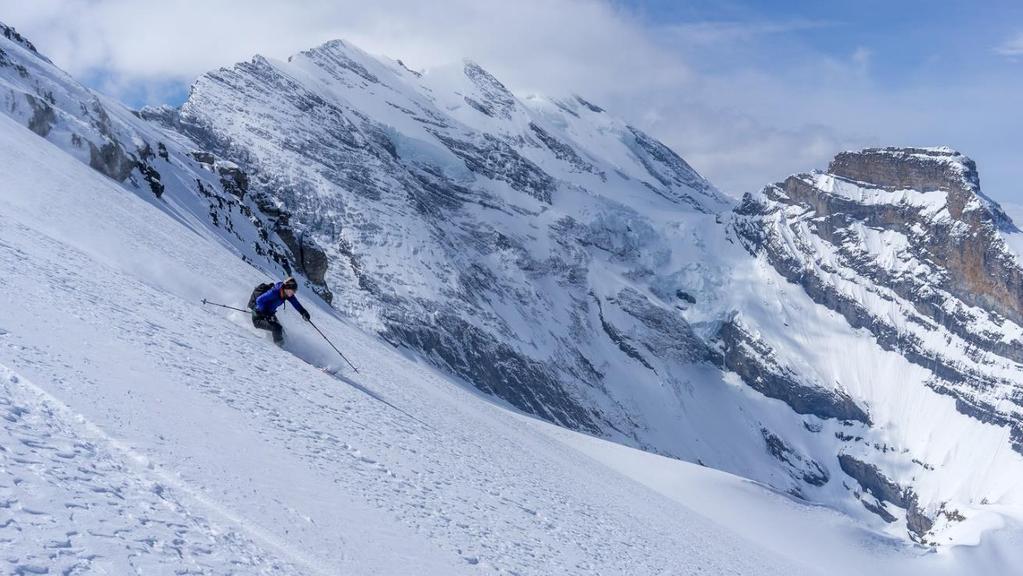 März 2019 Skitour über ca. 900-1100 Höhenmeter, 4h Aufstieg Lawinenausrüstung kann wie immer für 5.