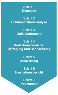 Interviews: Standardisierte Leitfadengespräche mit Mitgliedern der Geschäfts- und Redaktionsleitung sowie