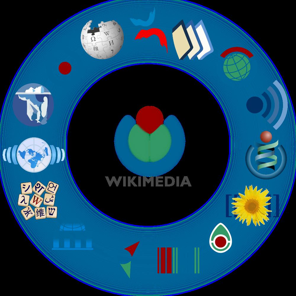 Jahresrechnung 2016 Wikimedia CH Verein
