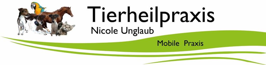 Fragenbogen zur Anamnese 1. PERSÖNLICHE DATEN DES TIERHALTERS Vorname, Nachname Straße, Hausnummer PLZ, Ort Telefon E-Mail 2.