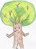 Einzelbäume/ Baumgruppen ÖP pro Baum, abhängig von: Stammumfang zum Pflanzzeitpunkt Stammumfang