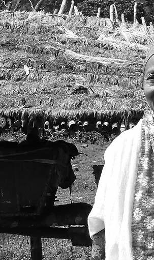 Äthiopien - Bio-Honig im Fairen Handel Die Landwirtschaft und der Obst- und Gemüseanbau, die meist nur zum Eigenbedarf dienen, reichen den Familien zum Leben nicht aus, da es sich im Schnitt um nur