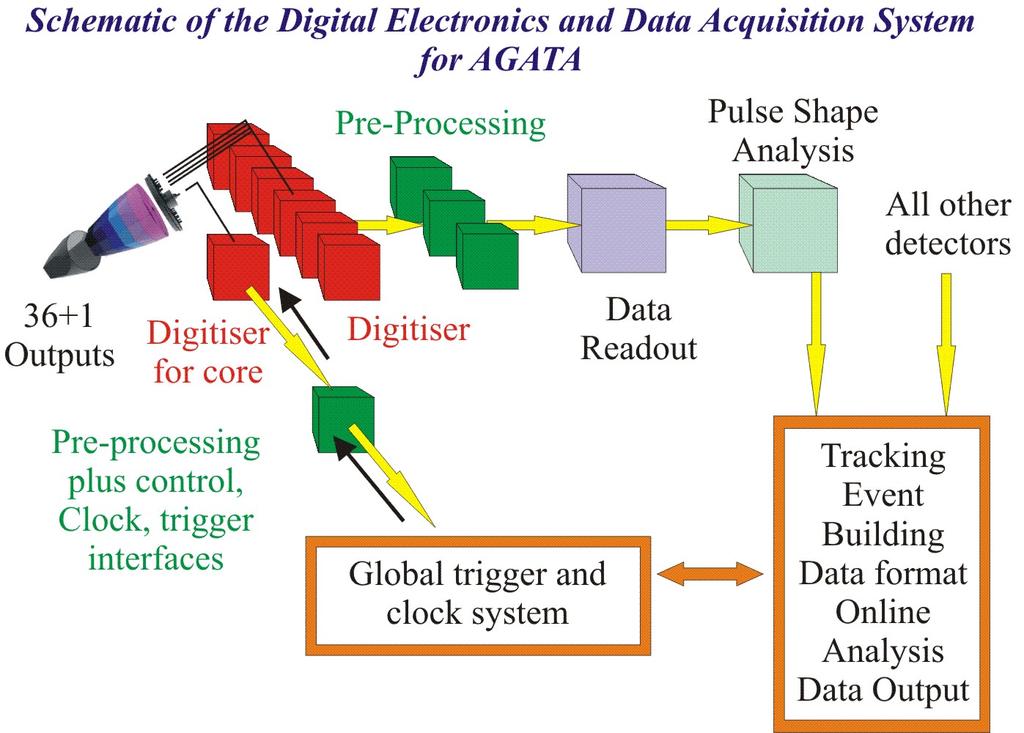 Digitale Elektronik und DAQ Global trigger system Clock