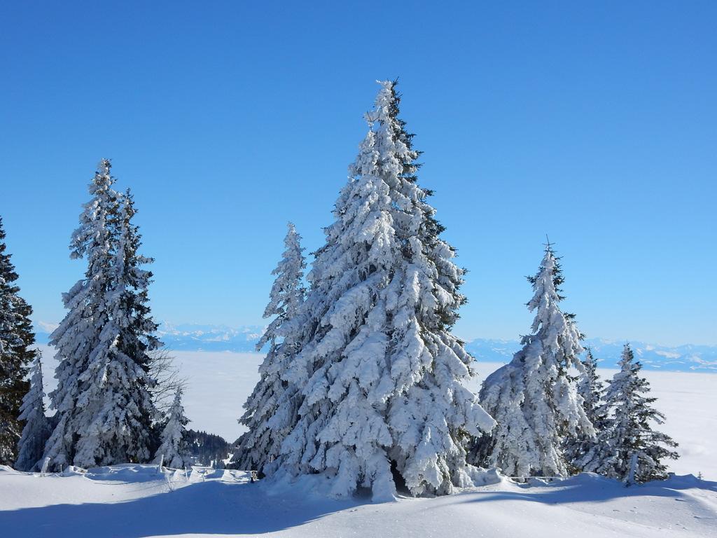 Winterstimmung über dem Balcon du Jura Reise-Übersicht Termine 20.01.