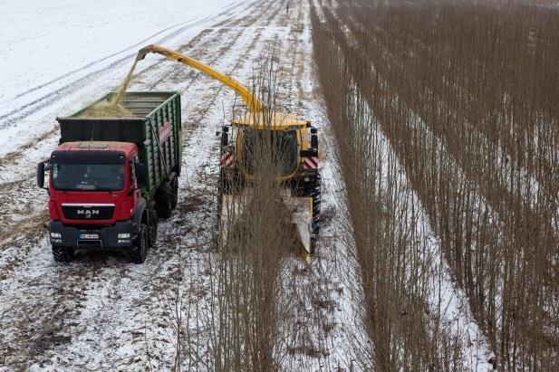 Energie für Berliner Kraftwerke Holz ist nicht irgendein Bau- oder Brennstoff, sondern