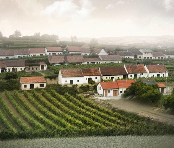 Logisch, dass auch Langenlois zu Europas größtem Veranstaltungsreigen im Zeichen des Weins gehört.
