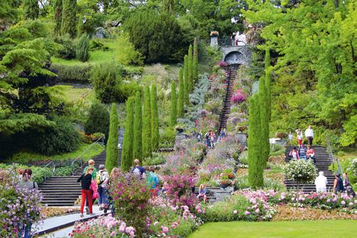 Tourist-Info Konstanz Di Domenico MAINAU INSEL CRUISE SUNDOWNER KONSTANZER SEENACHT KLANGFEUERWERK LANGENARGEN Ein Park mit über 150 Jahre alten Bäumen, üppige Blumenbeete mit Rosen, Orchideen,