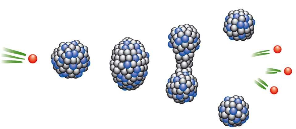 Das Prinzip der Kernspaltung Schematische Darstellung des Zusammenstosses eines thermischen Neutrons und eines schweren Nuklids, unter Aufspaltung in zwei Nuklide