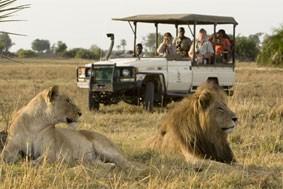 Ihr professioneller Ranger bringt Sie ganz nah an die Tiere heran, ein Safari-Erlebnis aller erster Klasse.