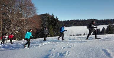 Schneeschuhe können in begrenzter Zahl ausgeliehen werden. Teilnehmerzahl max. 10 Personen.