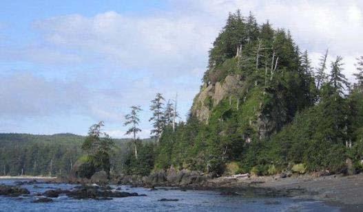 Jagen in Vancouver Island Vancouver Island ist wohl den meisten Menschen ein Begriff. Auf der Insel, die sich vor der Küste von BC erstreckt, liegt die Hauptstadt von British Columbia: Victoria.