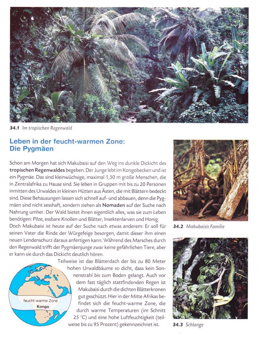 Klima Pflanzen Ernährung Naturvolk: Pygmäen Die