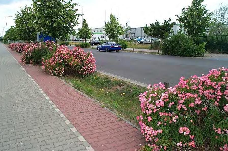 Planungshilfe für dezentrale Straßenentwässerung 44 7.1.3 Gewerbegebiet Hoppegarten Seit 1993 entsteht in der Rennbahn -Gemeinde Hoppegarten ein ca. 160 ha großes Industrie- und Gewerbegebiet.
