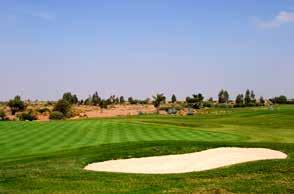 Der älteste ist der Royal Golf, die beliebtesten in der Vergangenheit waren Palmeraie Golf, Amelkis, Al Maaden und der kleine Atlas-Golf.