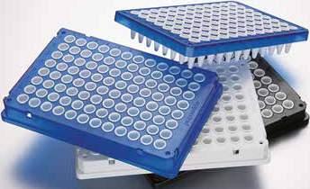 252 253 Eppendorf twin.tec PCR Plates Eppendorf twin.tec real-time PCR Plates PCR CONSUMABLES Eppendorf twin.tec PCR Plate 96, skirted, 150 µl PCR clean, farblos, 25 Stück 0030 128.