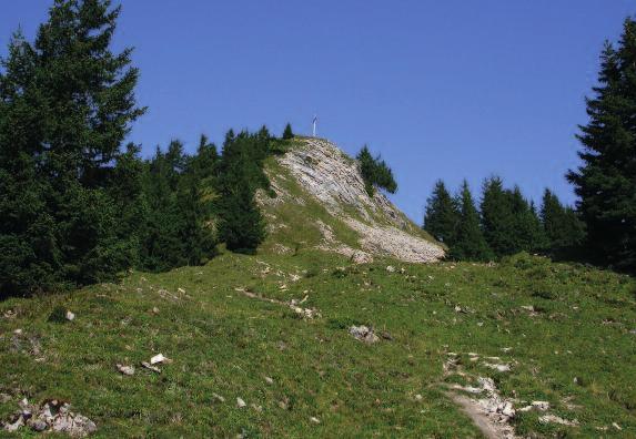 Methodik Sämtliche Standorte wurden wenigstens einmal im Sommer, Fallen-Intensivstandorte während der gesamten Vegetationsperiode mehrfach bei Schönwetter begangen.