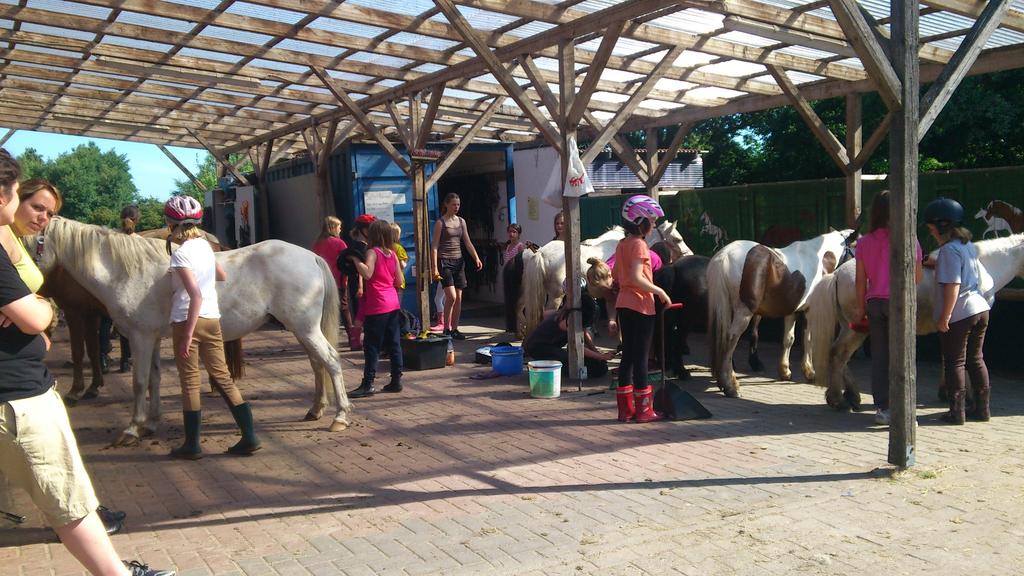 Reiten und Spiele mit Ponys Termin: jede Ferien 2015, jeweils ab 11.00 Uhr (Anreise jeweils Montag, Mittwoch oder Freitag) Wo? Freizeitreiterhof Zimmer, Siebenbergen 107, 26789 Leer Tel.