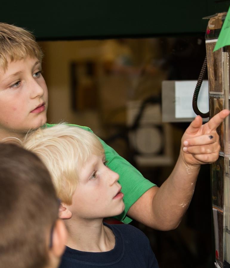 Schulen - Möglichkeit der internationalen Schulpartnerschaft: 16.