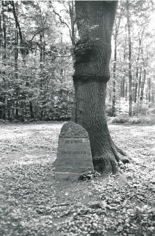 Doppeleiche mit Gedenkstein zur schleswig-holsteinischen Erhebung - 1898 Denkmal zur schleswig-holsteinischen Erhebung mit