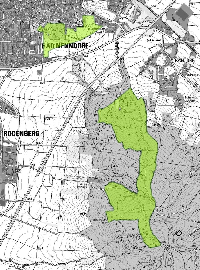 Abbildung 5: Ruhige Gebiete in Bad Nenndorf (grün) 3.