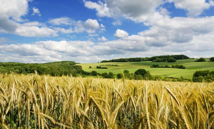 Wechselspiele, Wirkräume: Co-Konstruieren und