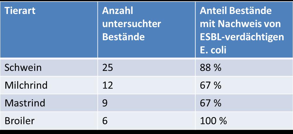 Enterobacteriaceae Ergänzende Informationen zu