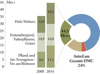 Die Vier Materialgruppen im Detail Biomasse umfasst sämtliche organische Substanz,