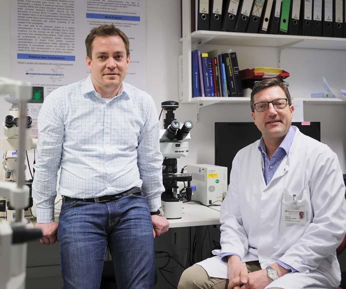 Andreas Unger und Matthias Vorgerd (rechts) erforschen gemeinsam die Ursachen der muskulären BICD2-Krankheit. TRANSPORT- PROZESSE IN MUSKELZELLEN SIND SO EINE ART SCHWARZES LOCH.