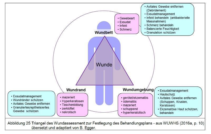 Wundbettvorbereitung: