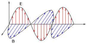Elektromagnetische Wellen Transversalwellen: E- und B-Feld senkrecht zur Ausbreitungsrichtung ~E ~ B = Ausbreitungsrichtung E-