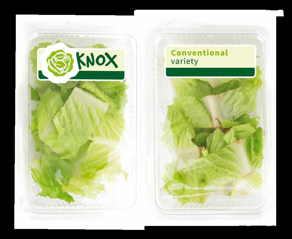 Weniger Abfall 10 RZ Konzepte mit Biss 11 Länger frisch dank Knox TM Knox - die Schnitt- und Bruchstellen bleiben länger weiß Verzögerte Oxidation bei frisch geschnittenem Salat Längere Haltbarkeit