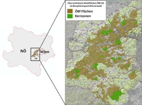 C-1 Einleitung Der Wald im Biosphärenpark Wienerwald stellt ein breites Spektrum an Ökosystemleistungen zur Verfügung.