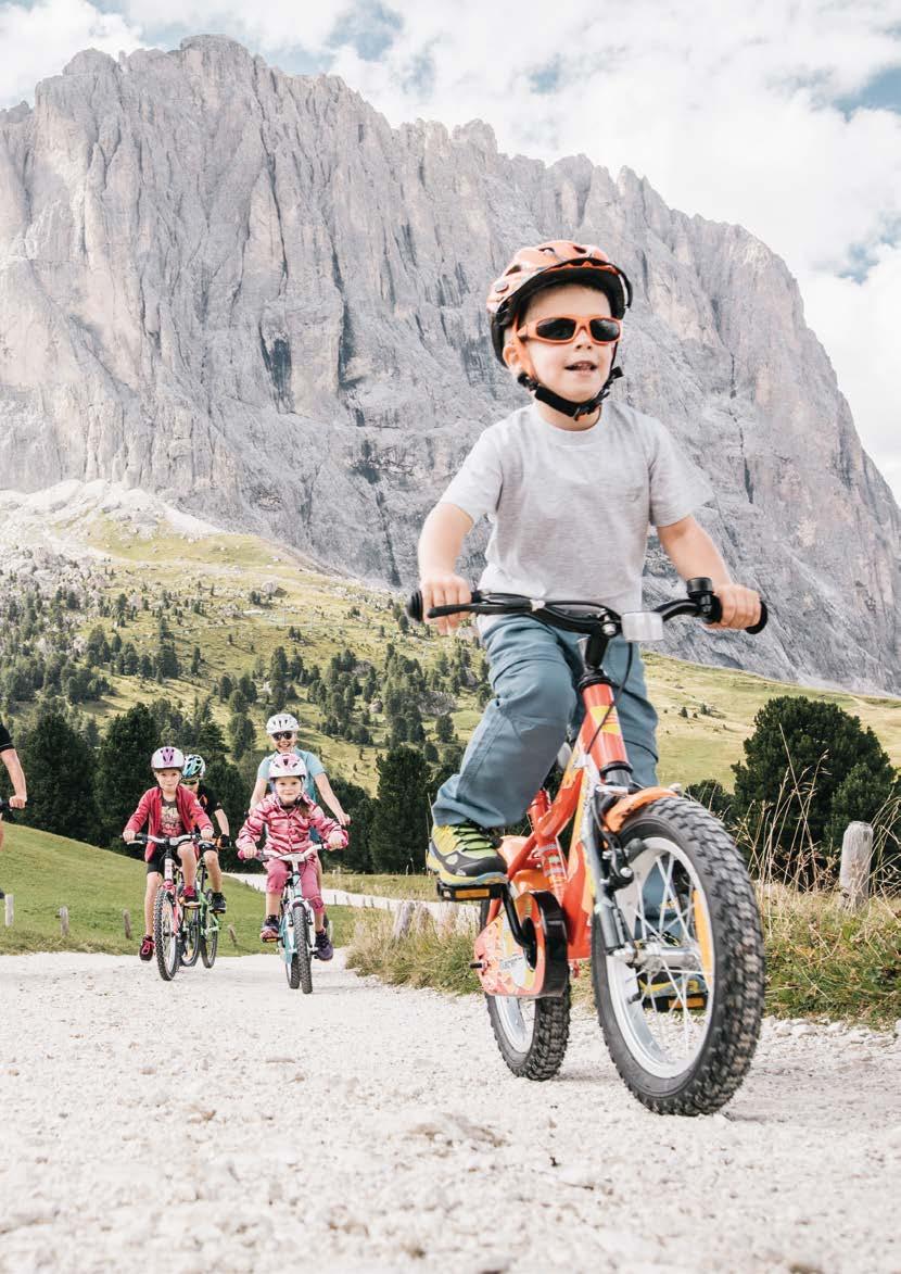 32 33 Bike 2019 / Jugend- und Kinderbikes Entwickelt in Österreich Hohlkammer- Felge JUGEND- & KINDERBIKES Alu-Kurbel SHIMANO 21 Gang Wie begeistert man Kinder und Jugendliche richtig?
