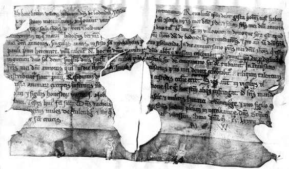 Urkunde von Wieren Erste Erwähnung Wierens im Jahr 1282.
