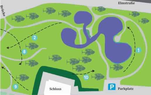 Schöningen Schlosspark 1: 65m (3) 6: 59m (3) 2: 85m (3) 7: 134m (3) 3: 77m (3) 8: 64m (3) 4: 67m (3)