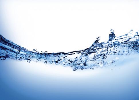2. Von der Bedeutung des Trinkens Der Mensch besteht zu mehr als der Hälfte aus Wasser: 50 bis 60 Prozent beträgt der Wasseranteil eines Erwachsenen.