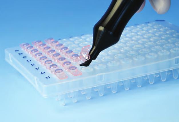 7813 62 Mini cooler PCR mit transparentem Deckel PP. Zum Schutz der Proben vor Erwärmung.
