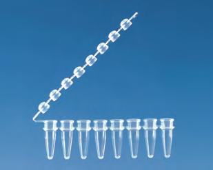 0,15 -PCR-Gefäße sind mit drei Stegen für erhöhte Stabilität verbunden. Die anhängenden, flachen Einzeldeckel schützen die Proben vor Kontamination.
